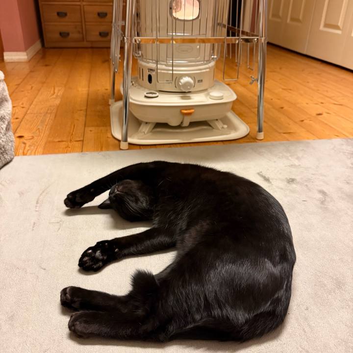 2cbad0c1 894b 4ba9 a6e2 50624ef77f2f 1764067359025