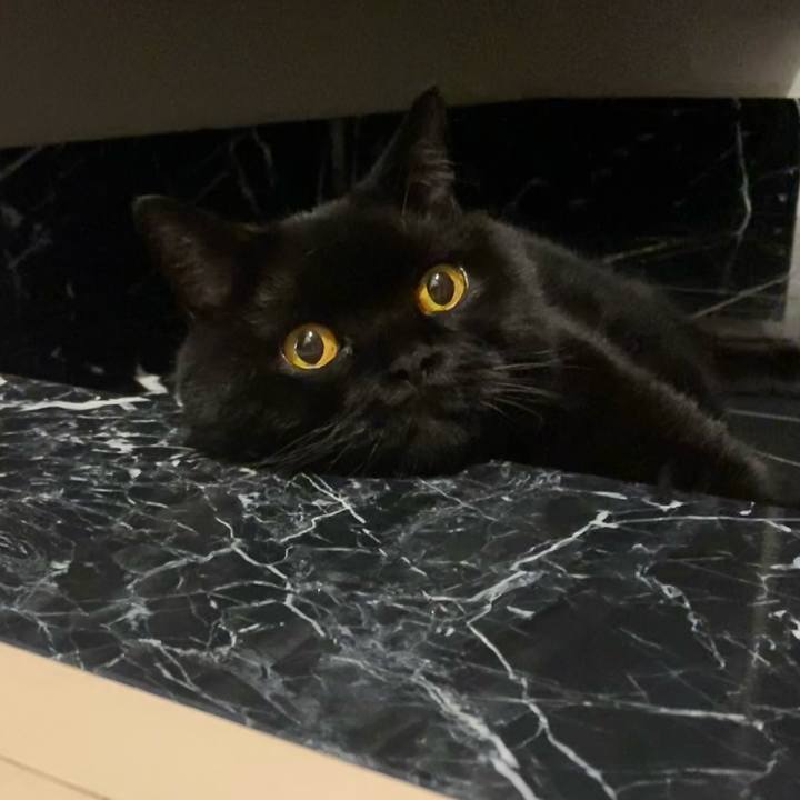 2cbad61d cfef 4e3a 88fd 7f9f962409fc 1720268749235