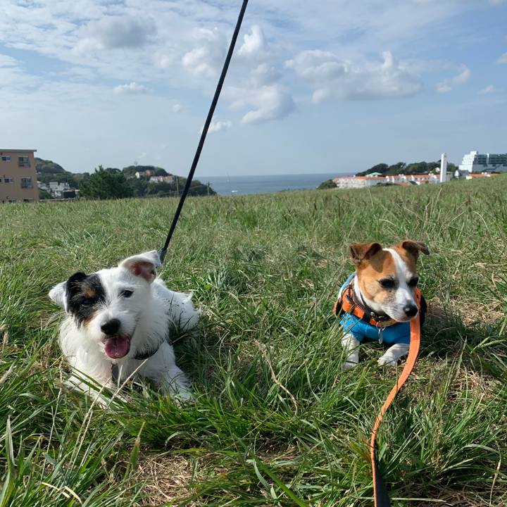 2cbaf98f d94c 4b30 a538 4daf9b754f96 1602033728196