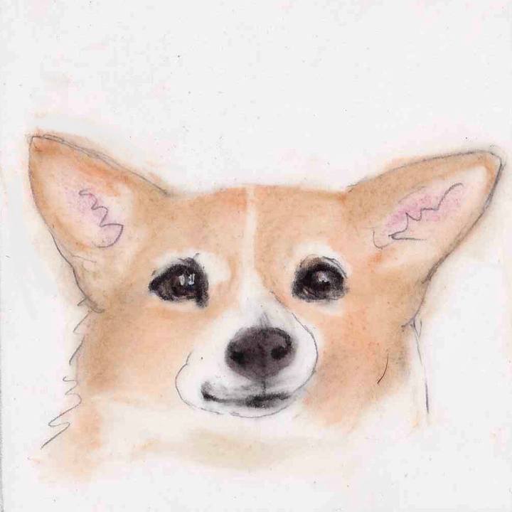 2cbb0085 9541 4ea5 9239 950dee7b5def 1634001366239