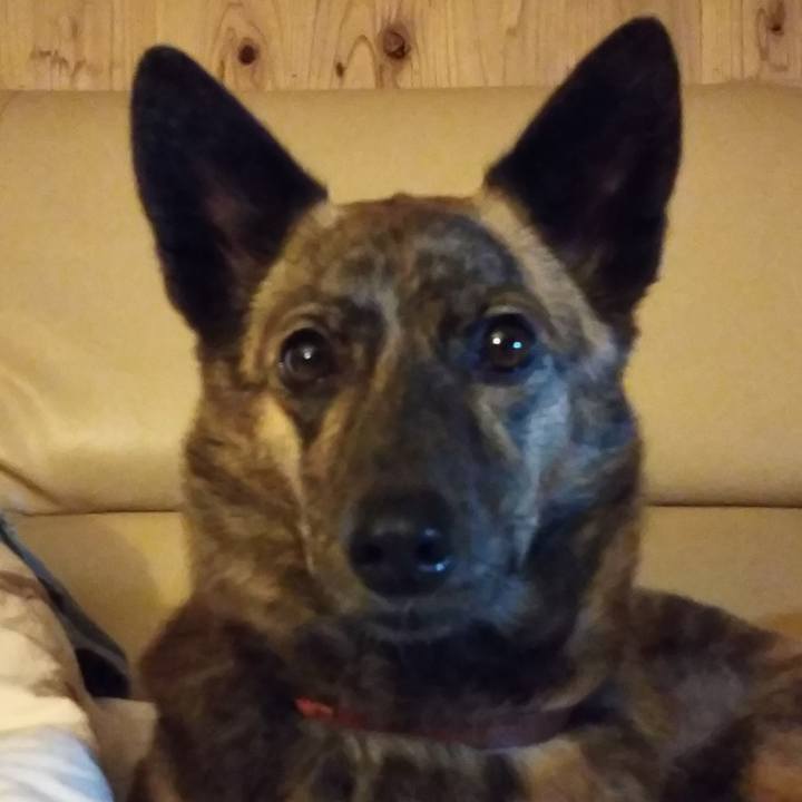 2cbb2cca 98f7 46e6 bc22 c9d5bcf52d26 1533988208440