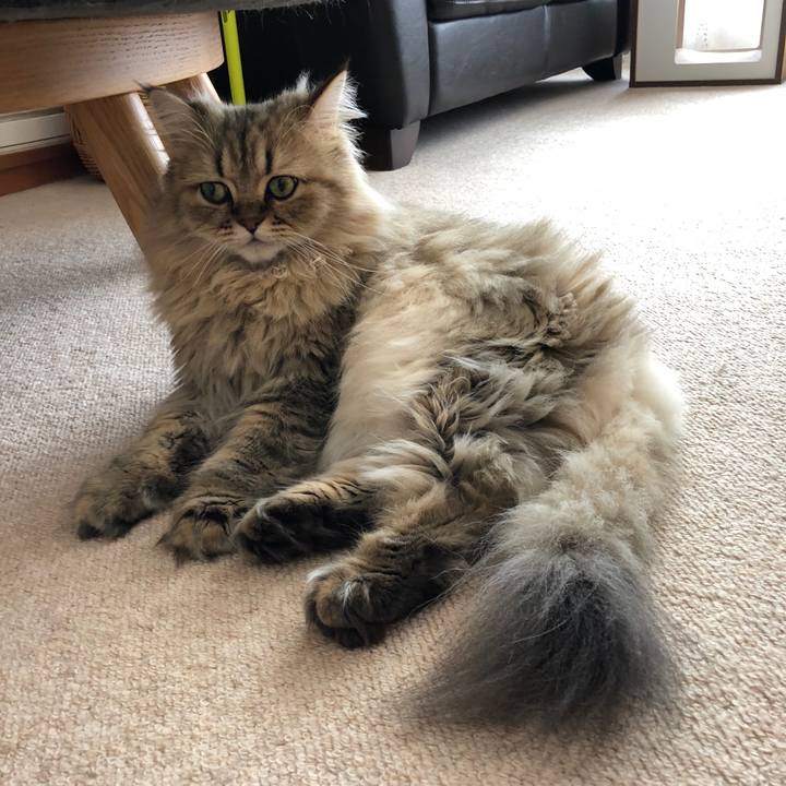 2cbb74f0 96c3 4499 8200 03776b360a64 1535025088592