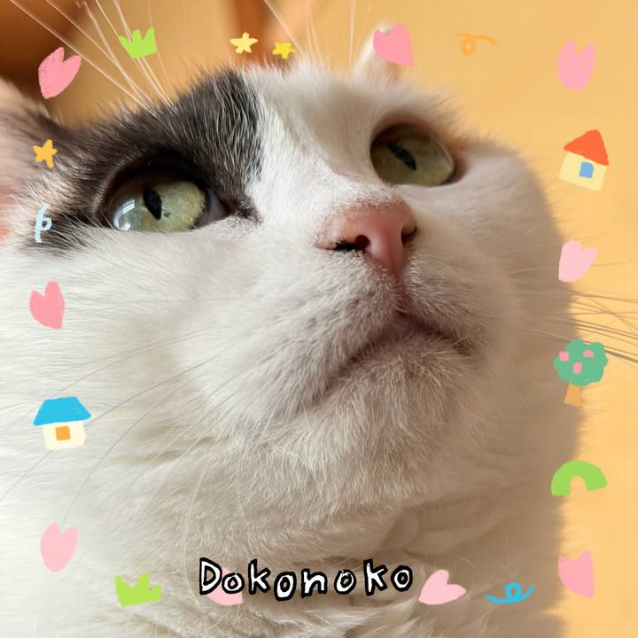 2cbb7836 27cb 4e59 bcd4 4c20bd6dc84e 1741055059512