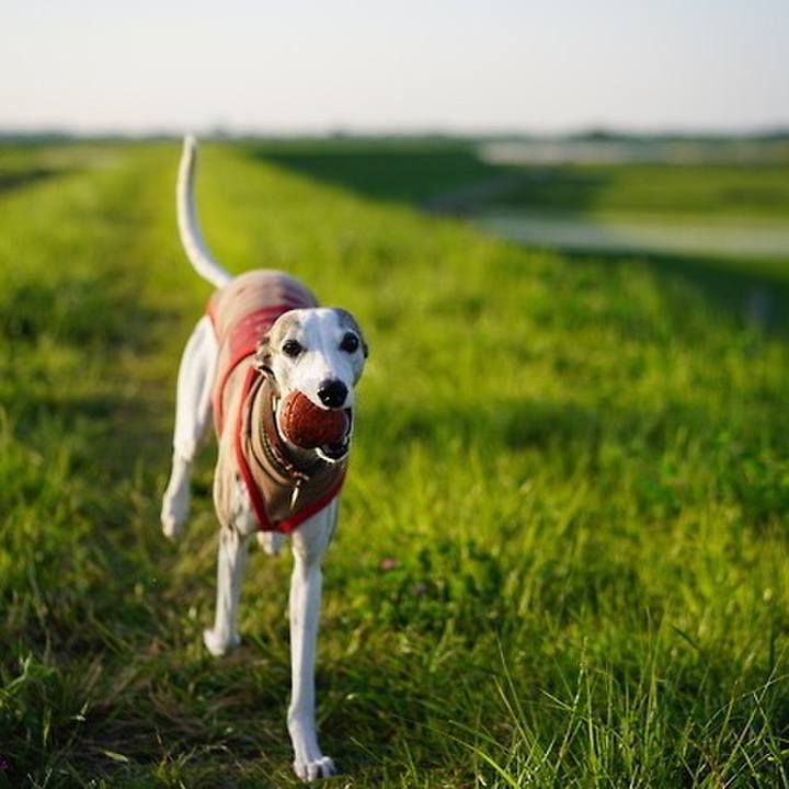 2cbb7f66 2f9a 49f7 9749 fca8ea08fb23 1535113636229