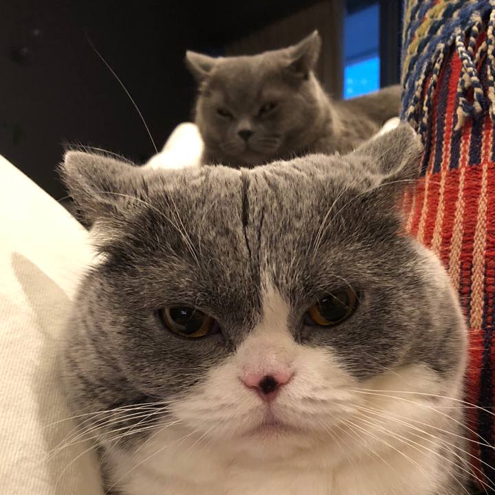 2cbba925 d624 4592 85c8 2d3bc806140a 1516621378858