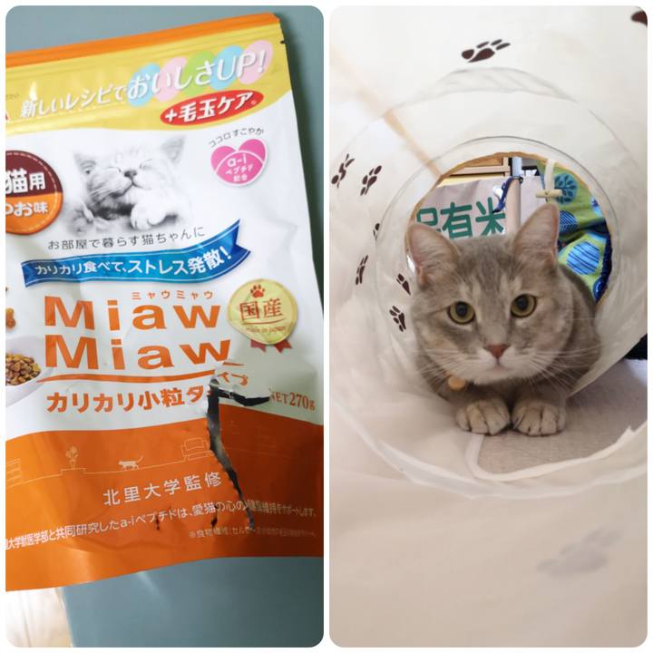 2cbbb7c4 74a5 47ea 98d5 7dda4314a9a8 1565236562015