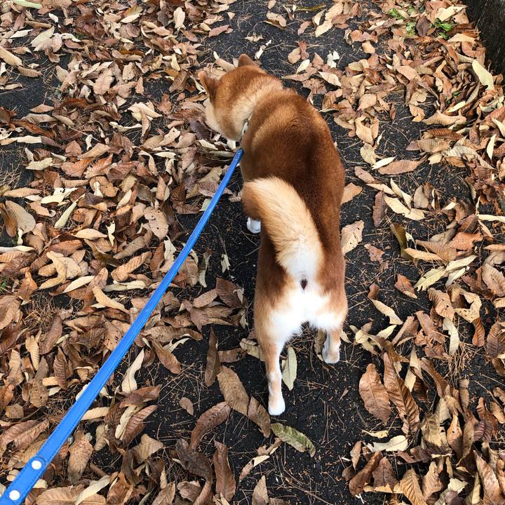 2cbbe9af 80ff 4e15 942f a807f46073fa 1733891022061
