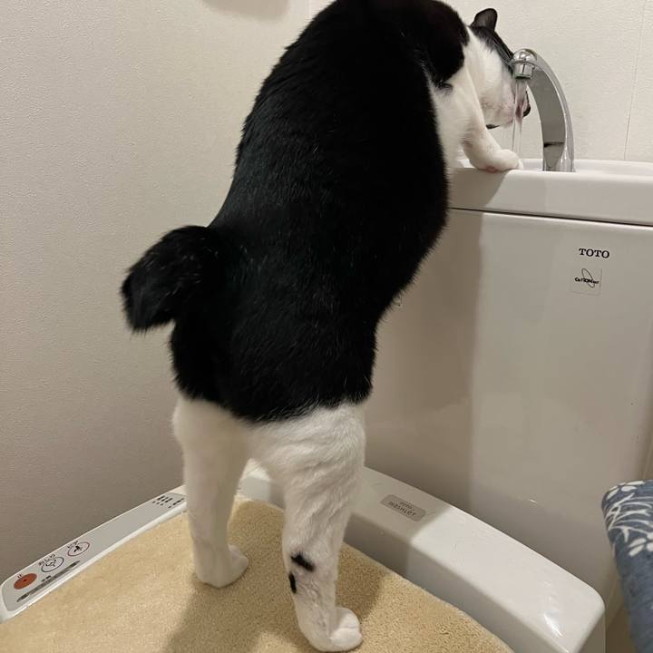 2cbc3f8b b8ce 4356 8eb0 38c400d2791a 1768814033650