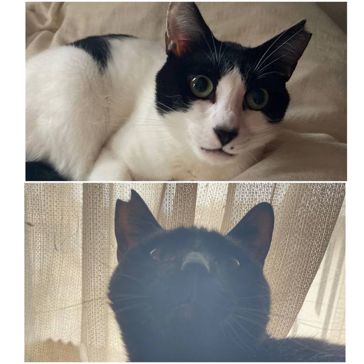 2cbc6d24 111a 4959 9d5a 25fe1c4483d3 1616390499684