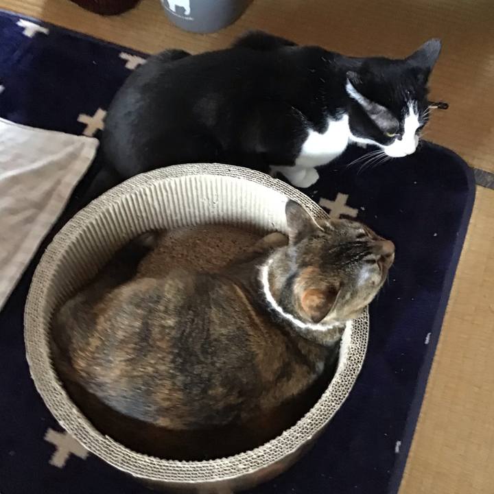 2cbc8114 e28a 41f6 a021 c1ed0961a755 1710922077506