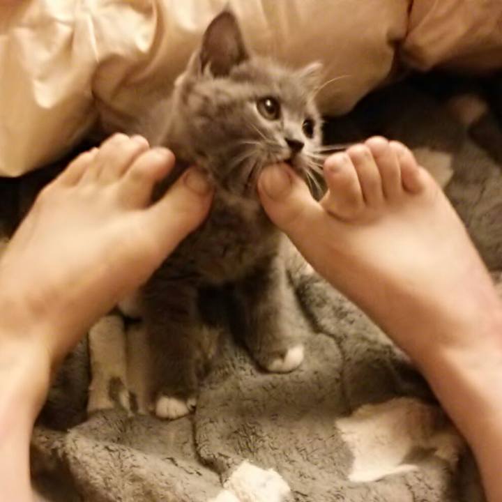 2cbc958d de3f 47c2 93da b8512f0de9f8 1530615406707