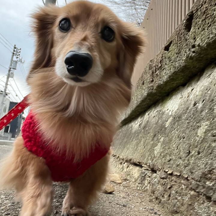 2cbcadbc af7f 4ccf 9145 b00082183f90 1677327235185