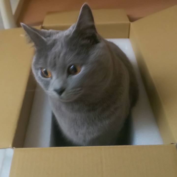 2cbcfd90 deb2 48ba a4a4 c93799c4296a 1575277625780