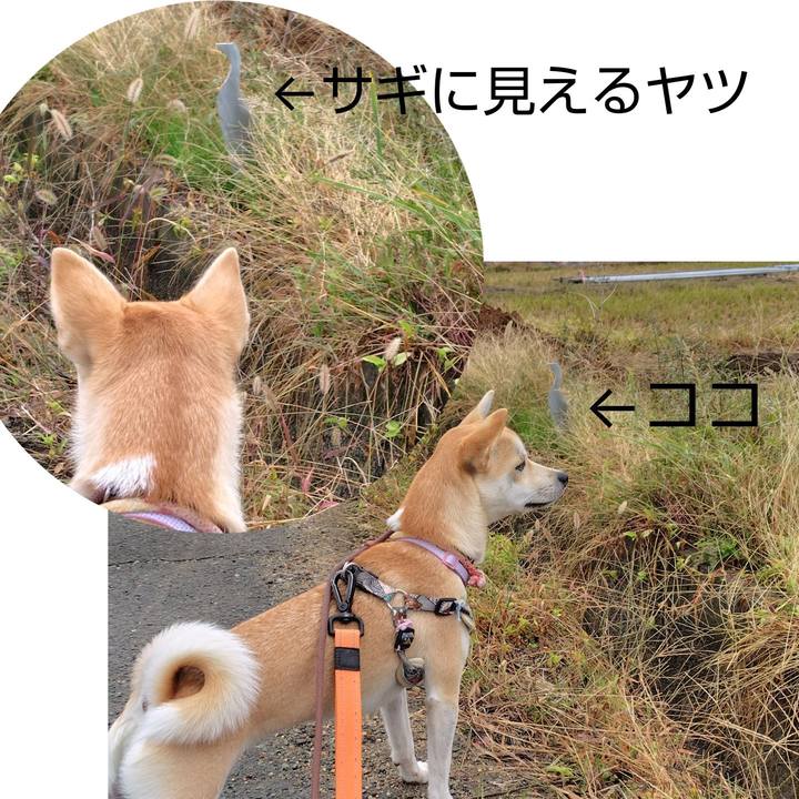 2cbd2a99 ed44 4579 ae60 80d7c09cf037 1763002870578