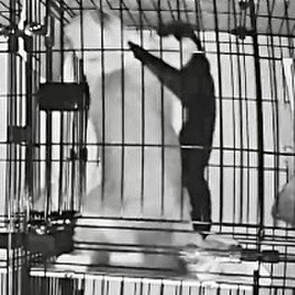 2cbd3220 02e0 46bd a76b 5ecb85cfebae 1760991302098