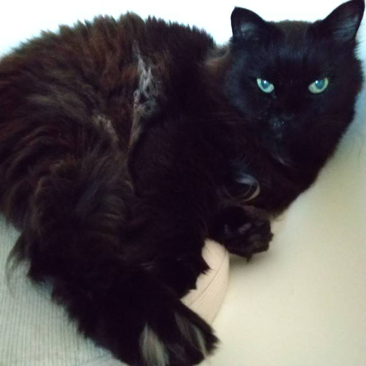 2cbd4bcf 10cf 46bd bd57 1380427a4e72 1683277697042