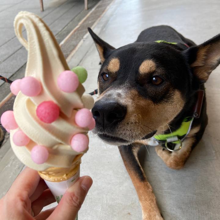 2cbd67e7 0e2c 4640 9a12 dcd852202dba 1635328334875