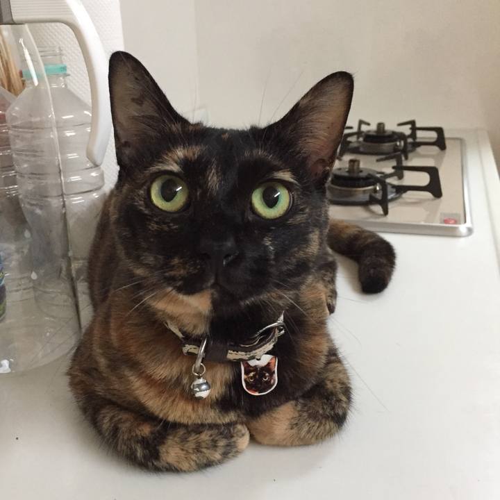 2cbd6cf3 8815 4796 9e67 e8c85eec6486 1530927680306