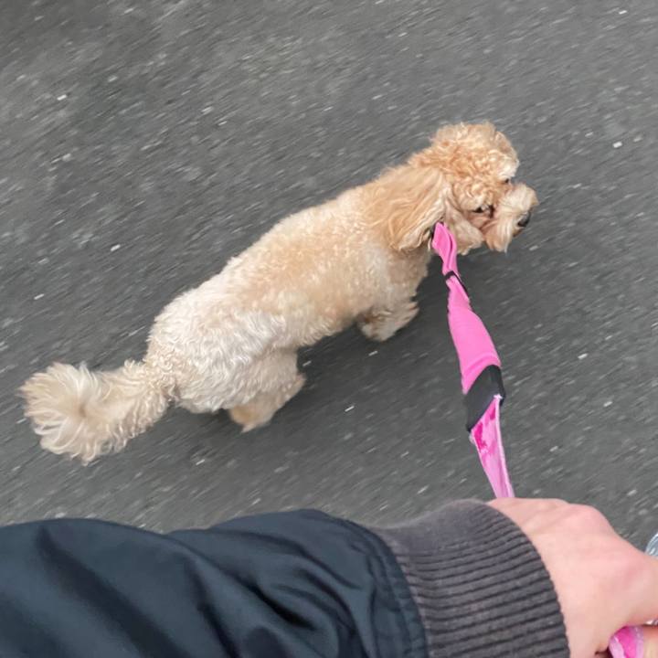 2cbddcb0 1da6 4f78 8a43 ac46a93b1885 1637483688863