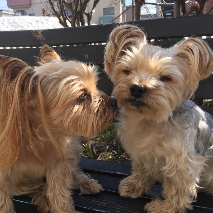 2cbdf604 4041 473a 88c3 056d366cc670 1523950451793