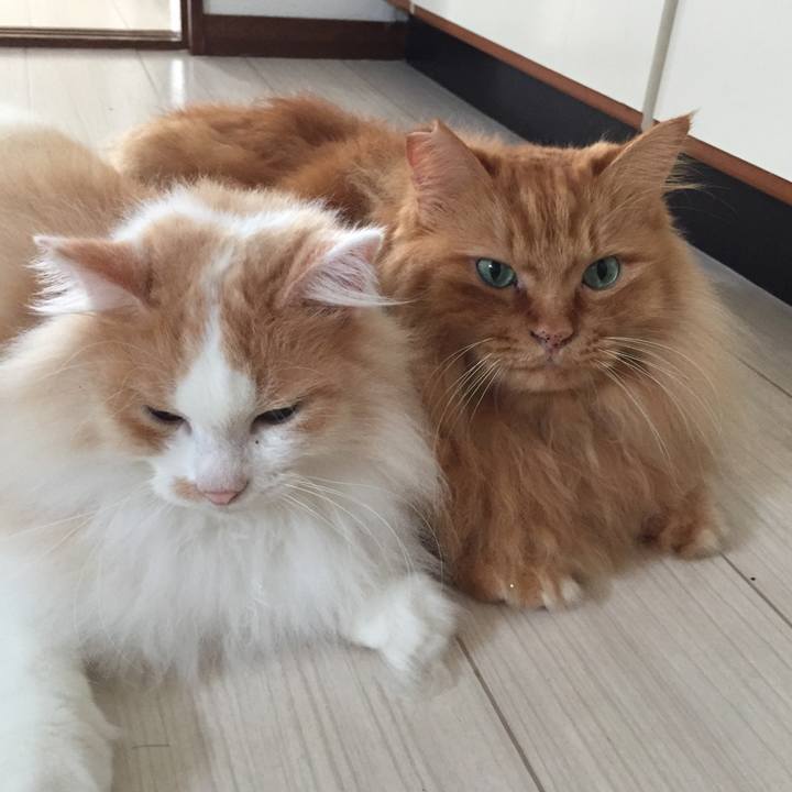 2cbdfb54 6097 4628 b72e 9909e4b48ce7 1536705562637