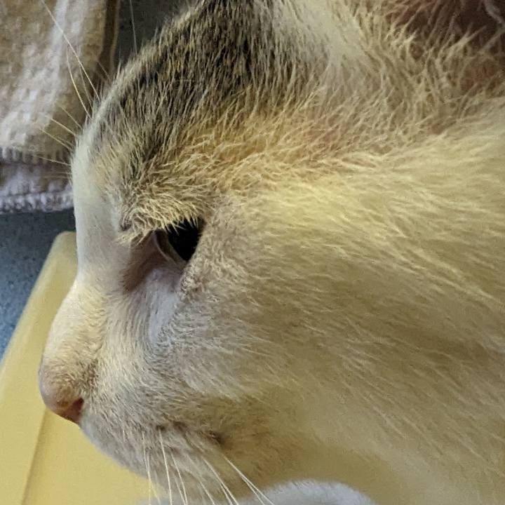 2cbe2758 6e91 4575 846b 6027e879e1c6 1691442804963