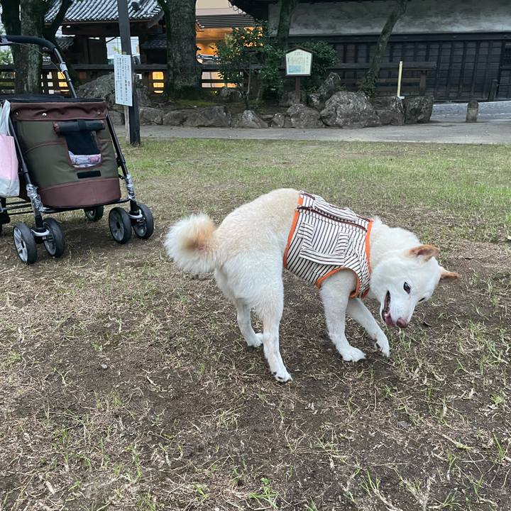 2cbe2ed5 b03d 485f ab28 f6ad1bb0b653 1657208446207