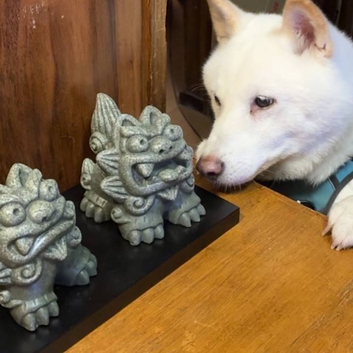 2cbe4f6c 7458 4614 8f1a e57f4d2ec4a4 1759318086342