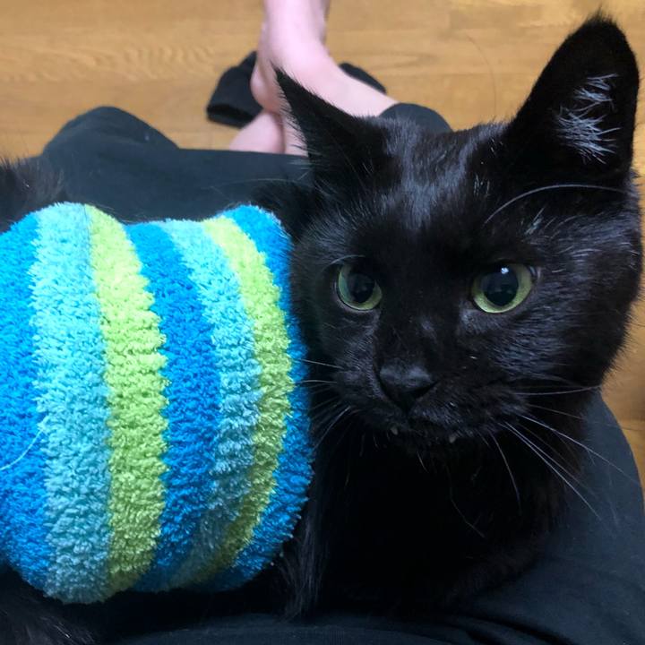 2cbe6434 456e 459b 8486 826f740ac571 1636122128695