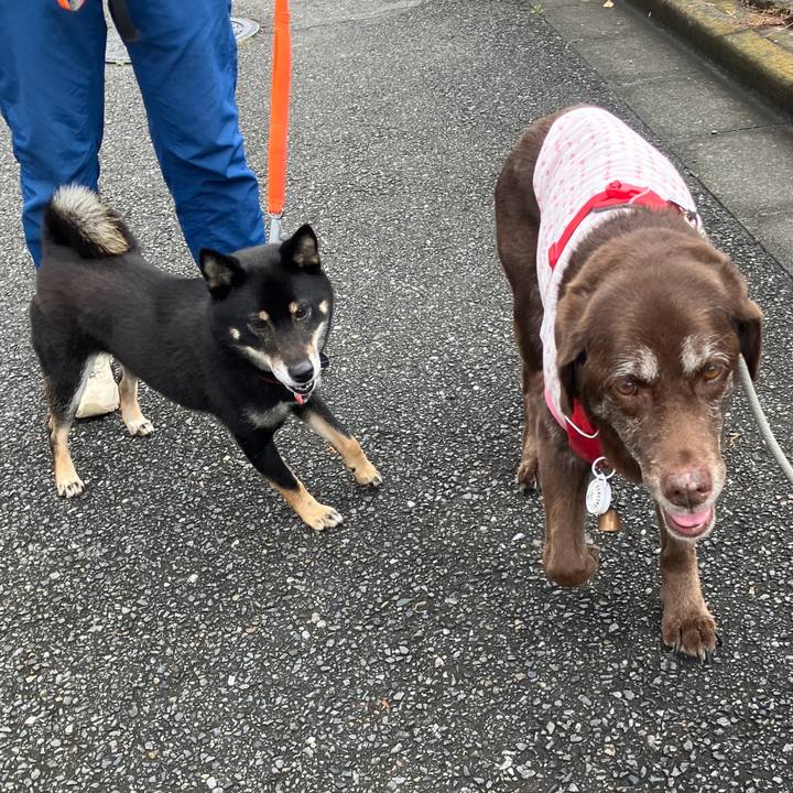 2cbe719b 957d 4e67 9f03 400504ba1ad5 1777020051108