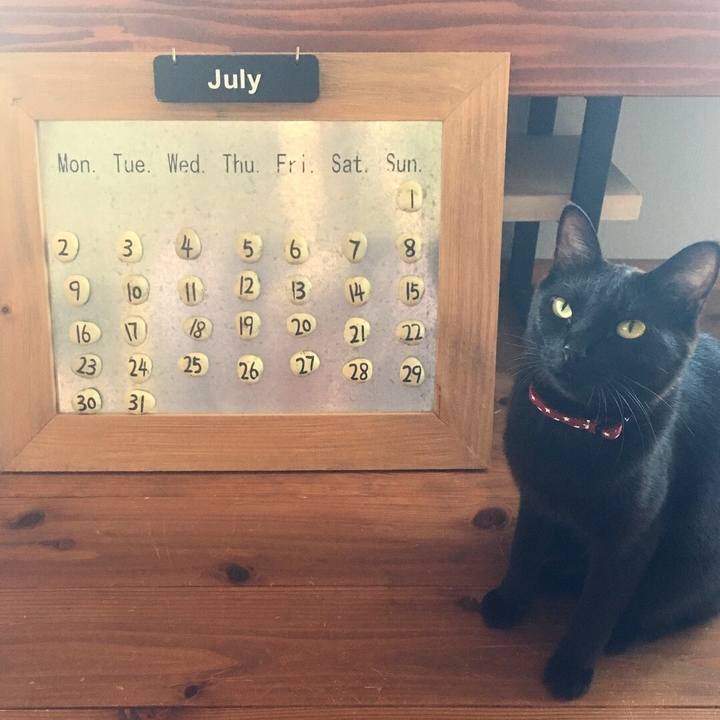 2cbe8958 16af 42c2 b4af 71f2b9b97e3a 1530402642948