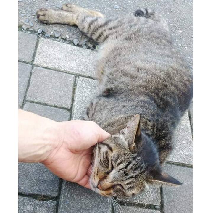 2cbe91bd 69ef 47a2 b903 1b339ef6d883 1626405114654