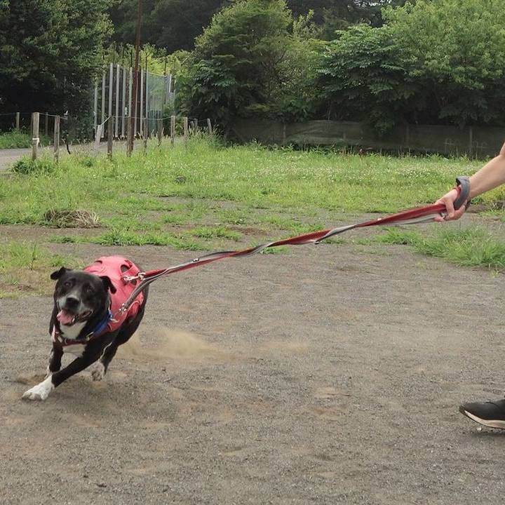 2cbea116 979d 4ffd 841a 60be95c263d8 1687740425094