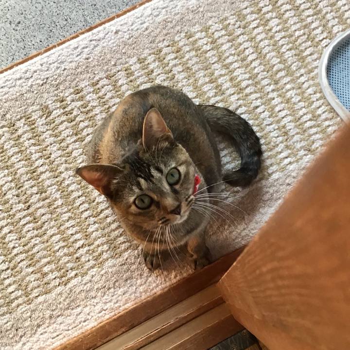 2cbea2a9 6273 42b5 9fe9 d90f9b4abb20 1604554728815