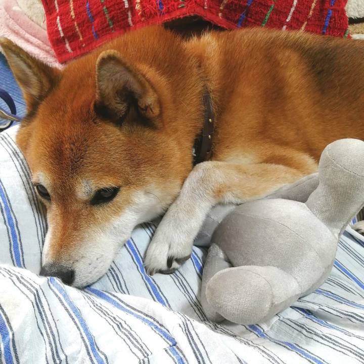 2cbeb034 ba80 4572 a465 ebe12241db7e 1662079180939