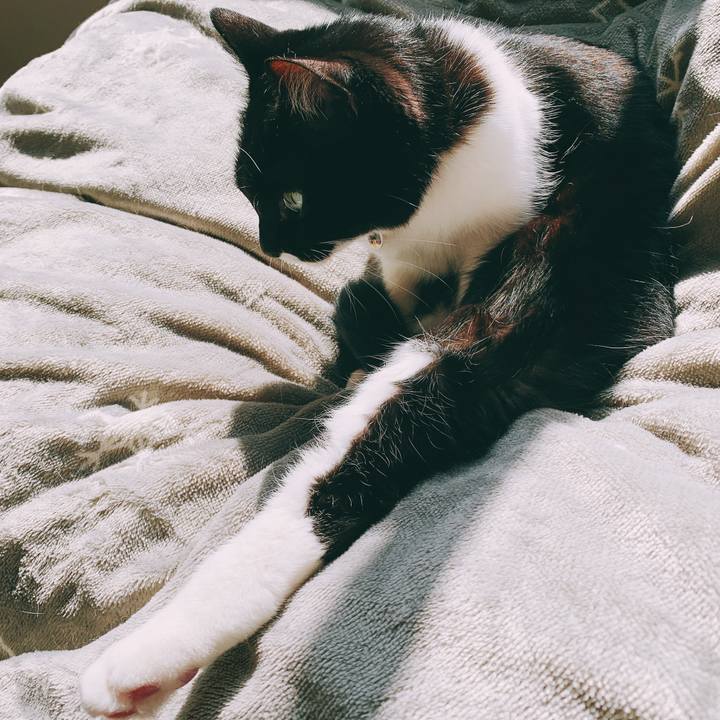 2cbee2bf b9d1 45cc a48e 672f706971ee 1551750756488