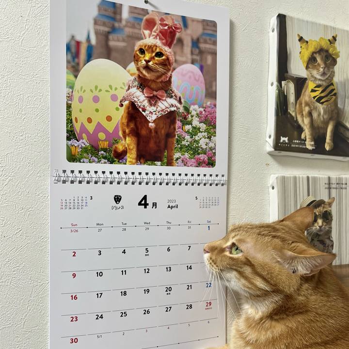 2cbeeee3 17d1 4cd5 83be 6152ff880b6f 1680303528423