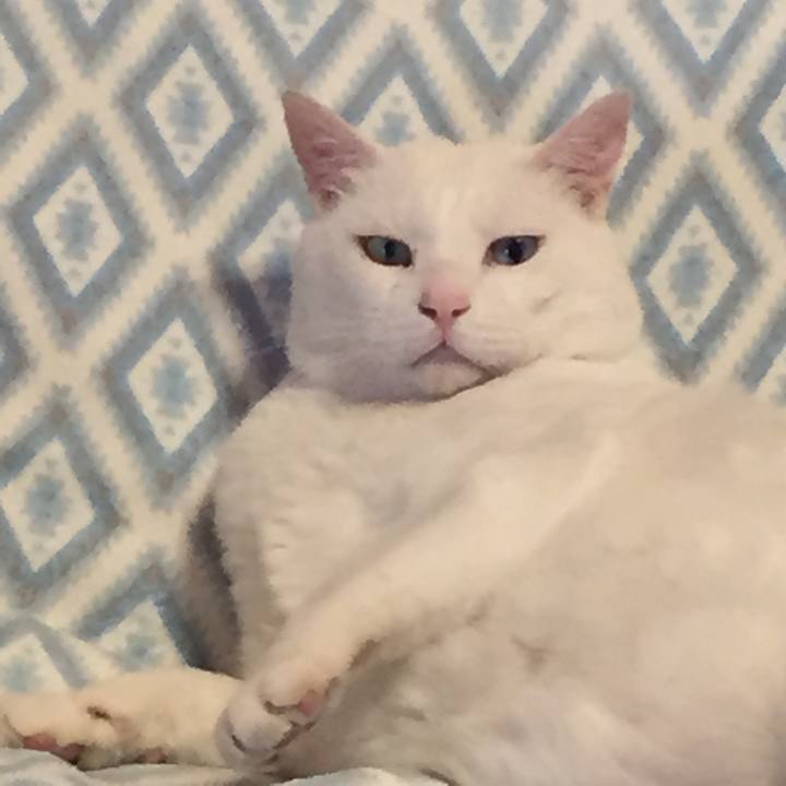 2cbf5421 0c38 46ba ae21 76586de753f1 1527888701942