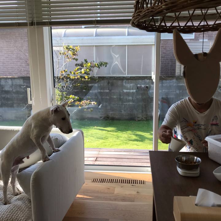 2cbf5b44 95d1 4813 9b4e db5dd9441a83 1597578143216