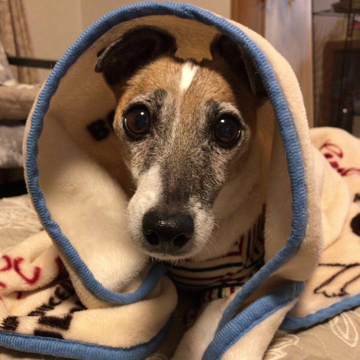 2cbf629a 1f49 4baf 9ae4 ddd2a2d14aa1 1538056442765