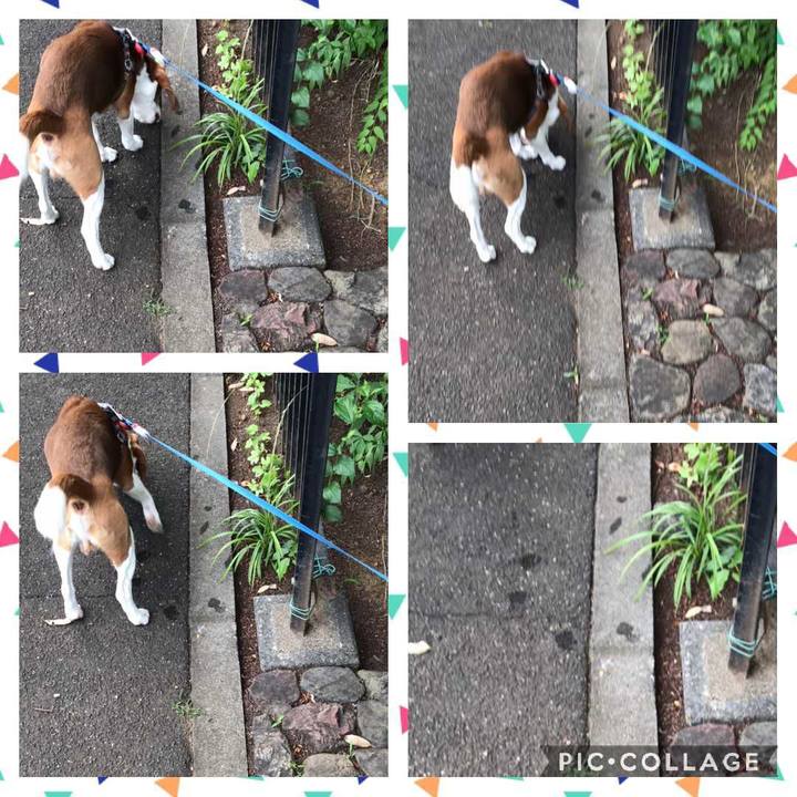 2cbf928d 27b4 4fad a3b5 7d56c9785a9c 1623748956650