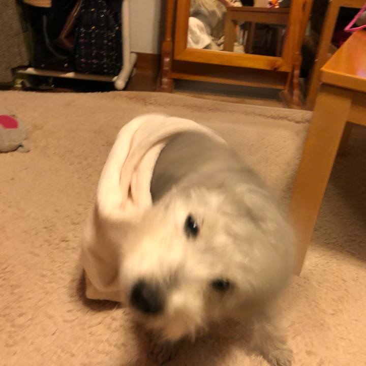 2cbfba41 cadd 429a 9bc8 1d23e99d9ea5 1581335396295