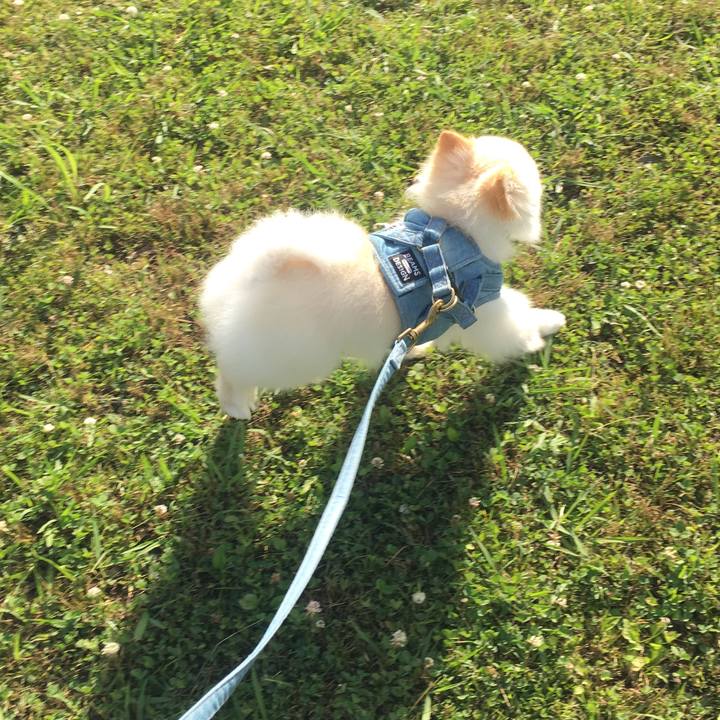 2cbff68d 06c6 4d74 94f5 759e7f8ceb26 1560672121236