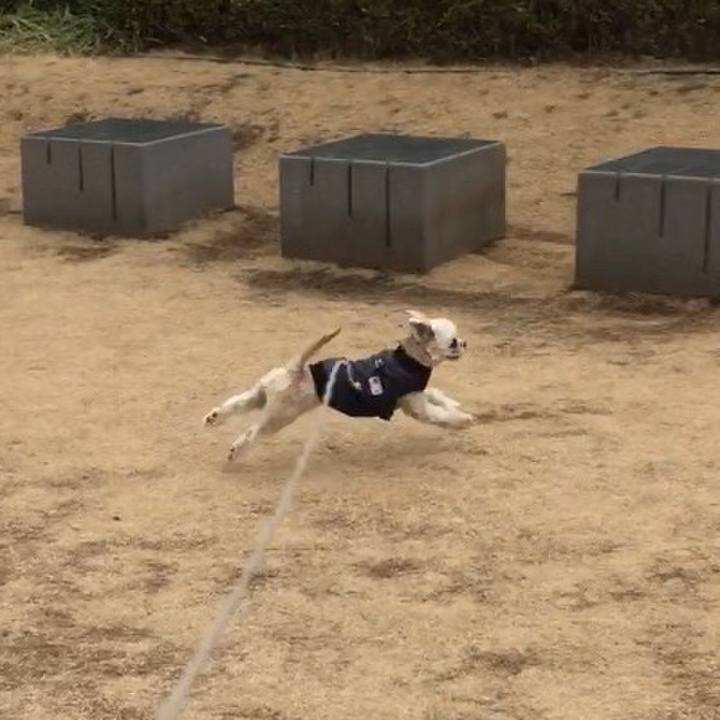 2cc0011b 9a7d 4ab3 91fc ac1d1ff01b36 1549345297191