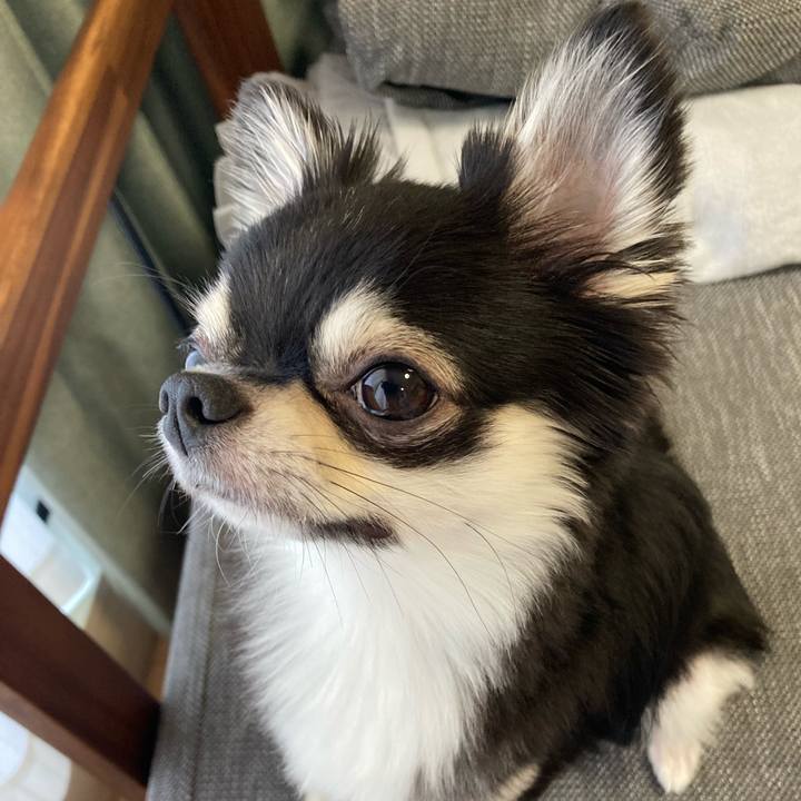 2cc02a19 860e 4eef b26d 70faff1293cd 1626910429459