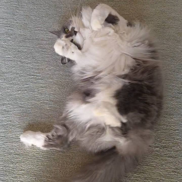 2cc049b6 5606 457b 8ded 3de88a206263 1763258681045