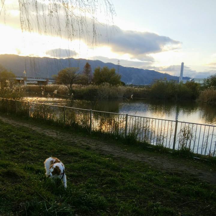 2cc04a50 146d 4a3b 9e2f e321e196b1e1 1544746472054