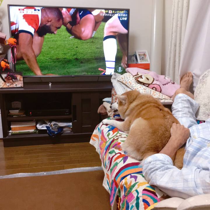 2cc09015 5775 4f6d 8eaf a74068692cd9 1570979745834