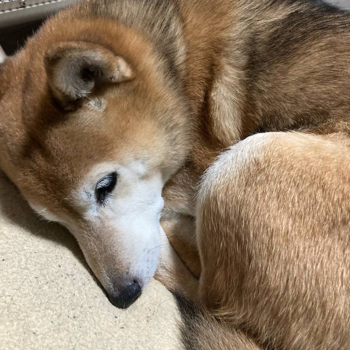 2cc095f9 cf87 4537 aedb be9a9acfa775 1705307575306