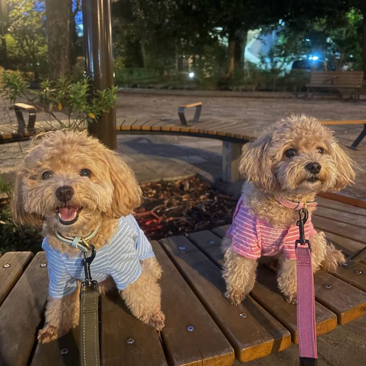 2cc0b994 adb2 4784 9db3 40b87679b822 1759767629198